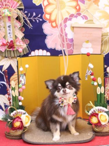 20240116ラブちゃん